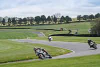 cadwell-no-limits-trackday;cadwell-park;cadwell-park-photographs;cadwell-trackday-photographs;enduro-digital-images;event-digital-images;eventdigitalimages;no-limits-trackdays;peter-wileman-photography;racing-digital-images;snetterton;snetterton-no-limits-trackday;snetterton-photographs;snetterton-trackday-photographs;trackday-digital-images;trackday-photos